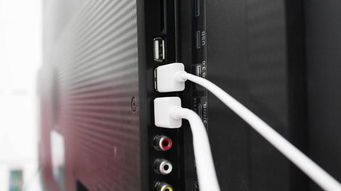 手機(jī)電視影音新玩法 居家妙品電視果使用體驗(yàn)